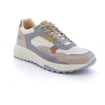 Baskets basses IgI&CO -