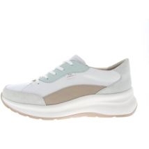 Baskets basses Finn Comfort SAVONA