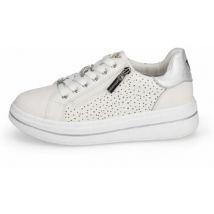 Baskets basses Valleverde 35493