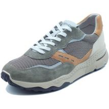 Baskets basses IgI&CO 1115811 Scam. Rete