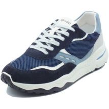 Baskets basses IgI&CO 1115800 Scam. Rete