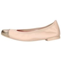 Ballerines Pretty Ballerinas 48780 SHIRLEY BAILARINA Arena