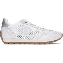 Baskets basses Carmela 163113 blanco