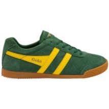 Baskets basses Gola Baskets HARRIER SUEDE