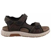 Sandales Westland Baskets 74R0071002