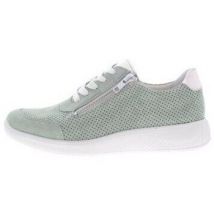 Baskets basses Solidus Halea
