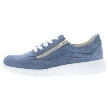 Baskets basses Solidus Halea