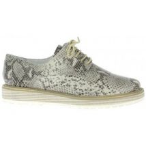Derbies Elizabeth Stuart Derby cuir python