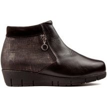 Bottines Dtorres 5486 marron