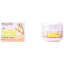 Soins & Après-shampooing Salerm Wheat Germ Hair Mask