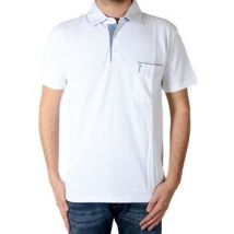 Polo Marion Roth Polo P2