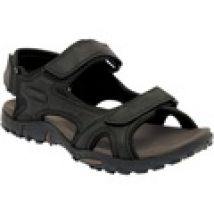 Scarpe Regatta  Haris