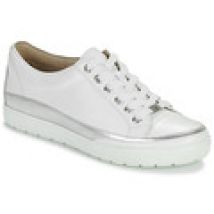 Sneakers basse Caprice  BUSCETI