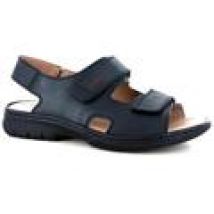 Sandali Robert  03310