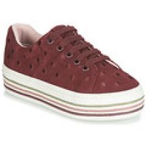 Scarpe bambini Gioseppo  FUSSEN