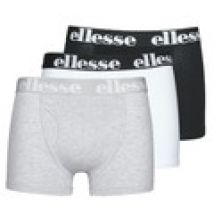 Boxer Ellesse  HALI