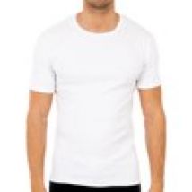 T-shirt Abanderado  0206-BLANCO