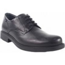 Scarpe Baerchi  Zapato caballero  1800-ae negro