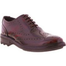 Scarpe Roamers  DF587