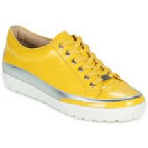 Sneakers basse Caprice  23654-613