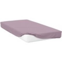Lenzuolo con angoli Belledorm  Kingsize BM113