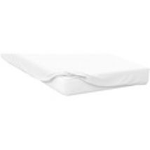 Lenzuolo con angoli Belledorm  Superking BM113