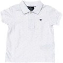 Polo Hackett  HK560958-8AS