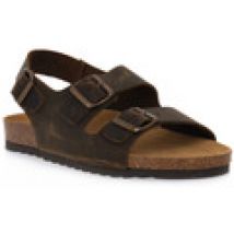 Sandali bassi Bioline  880 INGRASSATO MARRONE