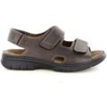 Sandali Robert  42091