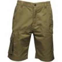 Pantaloni corti Regatta  Heroic