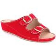 Scarpe Amolei  53613