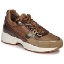 Sneakers basse Fericelli  PIRYNA