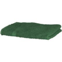 Asciugamano e guanto esfoliante Towel City  RW1576