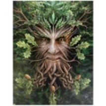 Dipinti, tele Anne Stokes  Petit format SD178