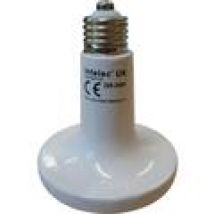 Paralumi e basi della lampadaParalumi e basi della lampada Intelec  250 W TL4100