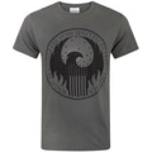 T-shirt Les Animaux Fantastiques  NS4356