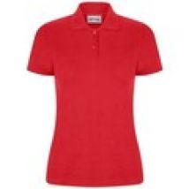 T-shirt & Polo Casual Classics  AB254