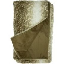 Coperta Paoletti  RV1890
