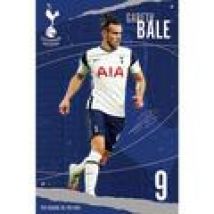 Poster Tottenham Hotspur Fc  TA7224