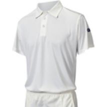 Polo Gunn And Moore  Maestro