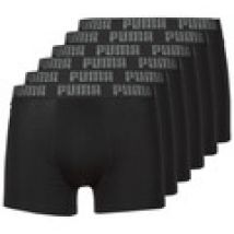 Boxer Puma  PUMA BASIC X6