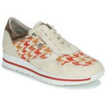 Sneakers basse Dorking  ALGAS