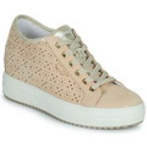 Sneakers basse IgI&CO  1655333