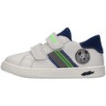 Scarpe bambini Primigi  1902222
