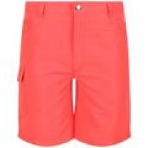Shorts Regatta  Sorcer II