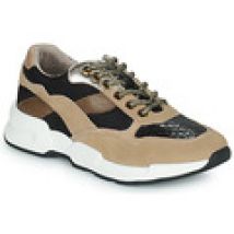 Sneakers basse Karston  SUZANE