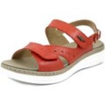 Sandali Stile Di Vita  Sandali Donna in Pelle, Plantare Estraibile - 8310