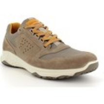 Scarpe IgI&CO  16165