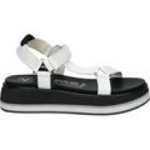 Sandali Yumas  PRIMULA