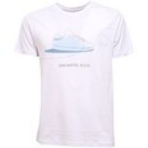 T-shirt Kaos Collezioni  maglia  S cotton